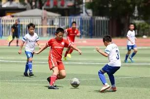 瑞士货币非,纯法郎,od体育,OD体育官网,OD体育平台,OD体育链接,OD体育官方