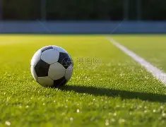 年度全球收,入排行领先,女性运动员,OD体育官网,OD体育平台,OD体育链接,OD体育官方