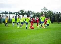 年度全球收,入排行领先,女性运动员,OD体育官网,OD体育平台,OD体育链接,OD体育官方