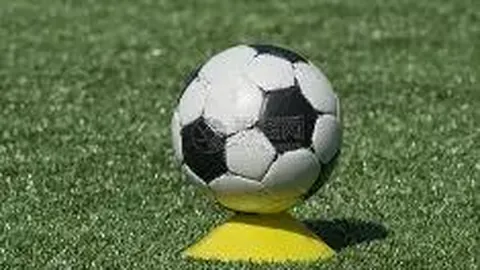 罗欣棫生日快乐：愿你在时光之田磨砺成长，如棫枝繁茂