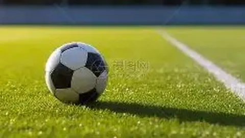 “2025年度全球收入排行领先女性运动员榜单”