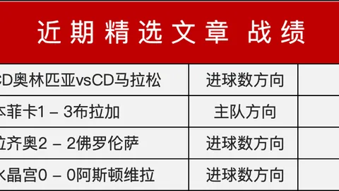 2025年歐洲杯主办国信息解读